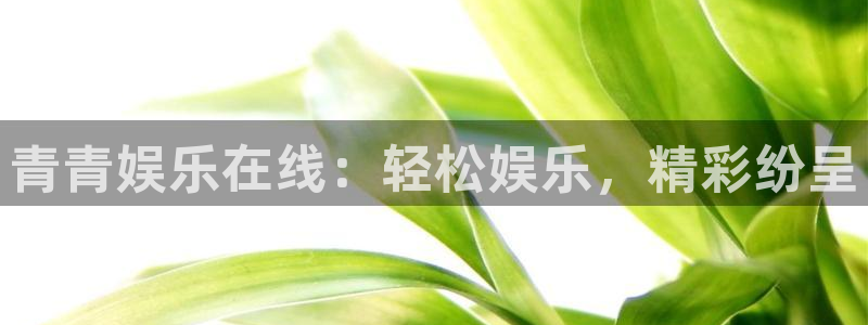 辉达平台平台app下载安装