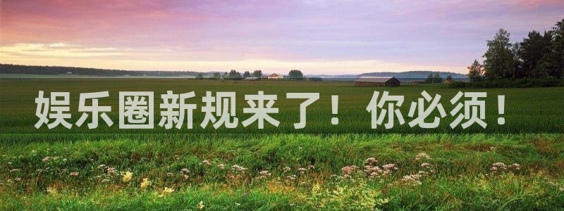 辉达平台加拿大下载