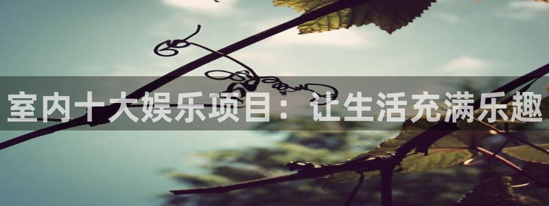 壹号app下载官方网站：室内十大娱乐项目：让生活充满乐趣