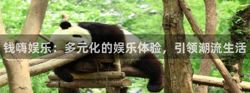 辉达平台加拿大下载