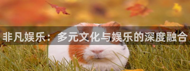 辉达平台注册网站app