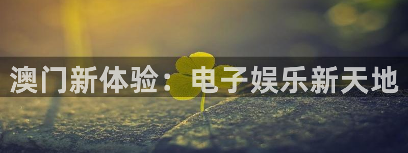 辉达平台官方app下载安装：澳门新体验：电子娱乐新天地