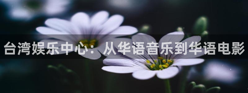辉达平台注册网站链接：台湾娱乐中心：从华语音乐到华语电影
