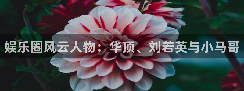 辉达平台app下载安装最新版：娱乐圈风云人物：华顶、刘若英与小马哥