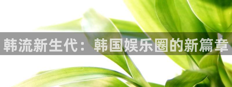 壹号大舞台：韩流新生代：韩国娱乐圈的新篇章