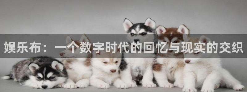 辉达平台ccmpc