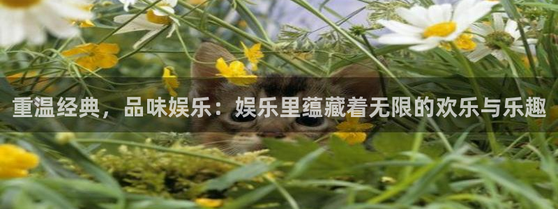 辉达平台官网