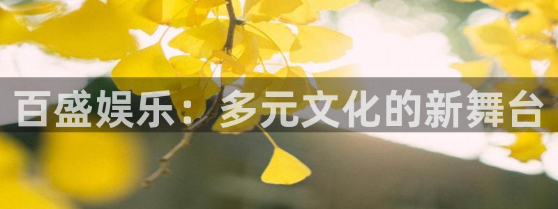壹号平台注册链接官网下载：百盛娱乐：多元文化的新舞台