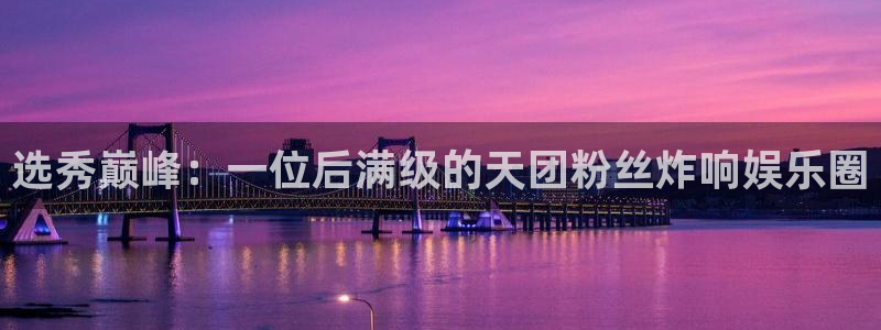 辉达平台app下载安装最新版：选秀巅峰：一位后满级的天团粉丝炸响娱乐圈