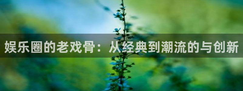 辉达平台app下载安装：娱乐圈的老戏骨：从经典到潮流的与创新