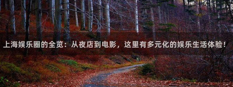 辉达平台登录：上海娱乐圈的全览：从夜店到电影，这里有多元化的娱乐生活体验！