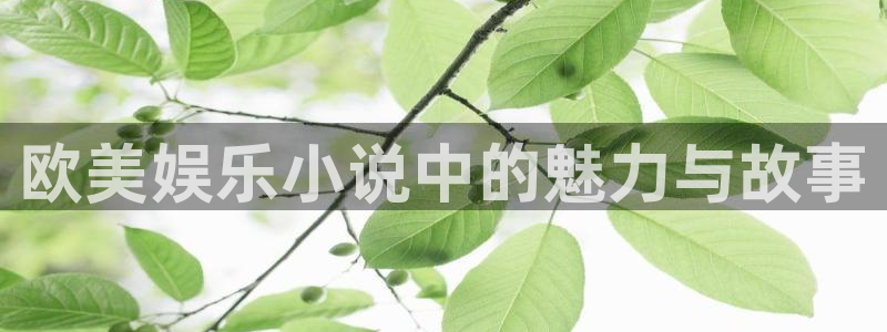 辉达平台app官网：欧美娱乐小说中的魅力与故事