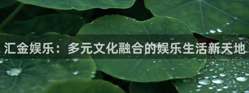 辉达平台注册链接：汇金娱乐：多元文化融合的娱乐生活新天地