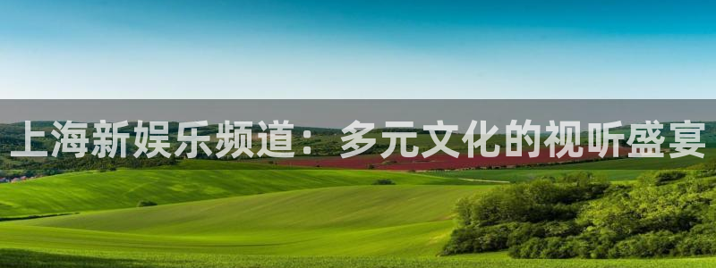 辉达平台手机版下载：上海新娱乐频道：多元文化的视听盛宴