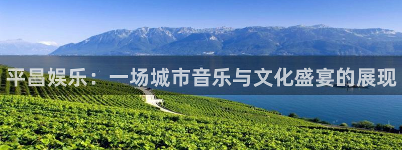 壹号大舞台官网入口：平昌娱乐：一场城市音乐与文化盛宴的展现