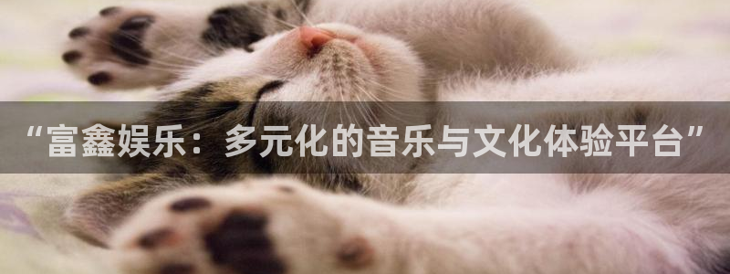 辉达平台怎么下载：“富鑫娱乐：多元化的音乐与文化体验平台”