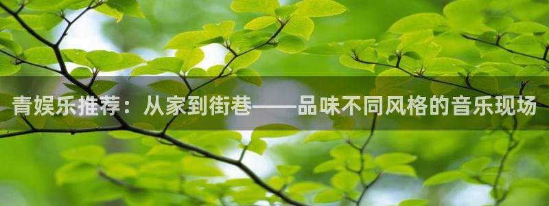 辉达平台注册网站app：青娱乐推荐：从家到街巷——品味不同风格的音乐现场