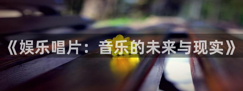 辉达平台.com：《娱乐唱片：音乐的未来与现实》