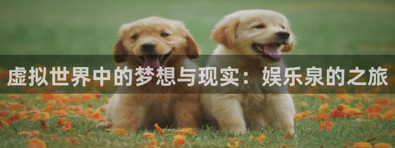 pg辉达平台平台下载入口：虚拟世界中的梦想与现实：娱乐泉的之旅
