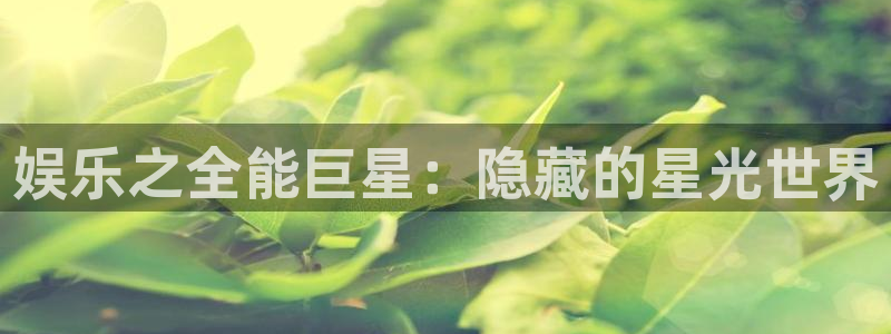 苹果版辉达平台下载安装：娱乐之全能巨星：隐藏的星光世界