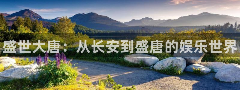 pg辉达平台平台下载入口：盛世大唐：从长安到盛唐的娱乐世界