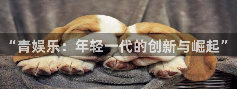 辉达平台下载二维码：“青娱乐：年轻一代的创新与崛起”