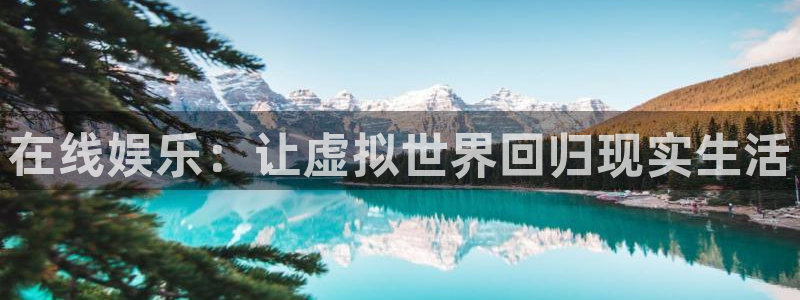 辉达平台网站平台登录：在线娱乐：让虚拟世界回归现实生活