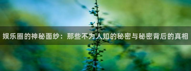 壹号电子娱乐app：娱乐圈的神秘面纱：那些不为人知的秘密与秘密背后的真相