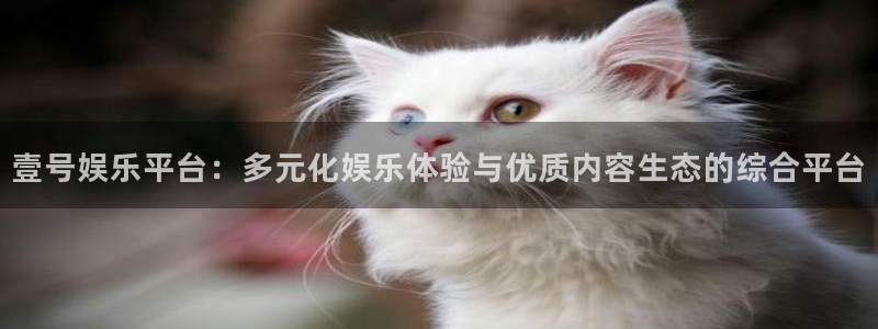 辉达平台网页版登：壹号娱乐平台：多元化娱乐体验与优质内容生态的综合平台