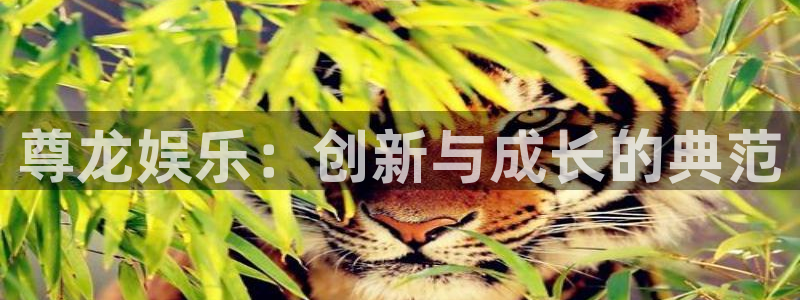 辉达平台注册网页版：尊龙娱乐：创新与成长的典范