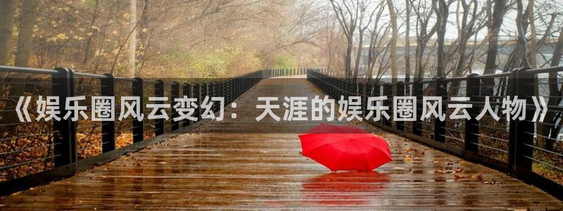 壹号大舞台怎么注册：《娱乐圈风云变幻：天涯的娱乐圈风云人物》