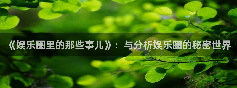 辉达平台平台登录入口：《娱乐圈里的那些事儿》：与分析娱乐圈的秘密世界