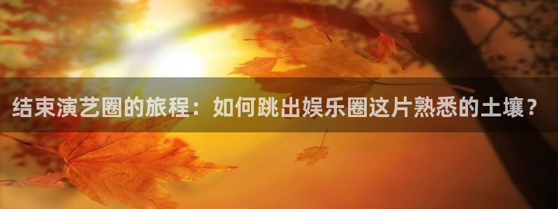 辉达平台软件：结束演艺圈的旅程：如何跳出娱乐圈这片熟悉的土壤？