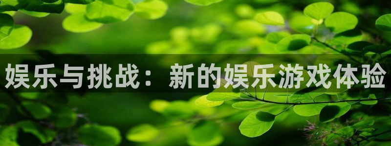 辉达平台平台官网版最新：娱乐与挑战：新的娱乐游戏体验